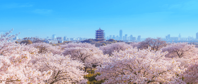 2026年03月收钱吧实体商业活力指数